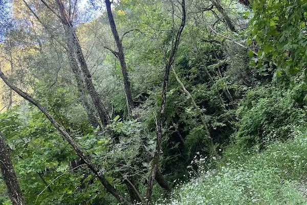 Cihangir Adventure Park - Resim 16