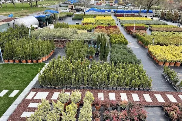 Bambu Bahçe Market - Resim 19
