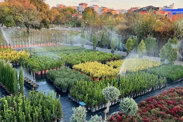 Bambu Bahçe Market - Resim 16