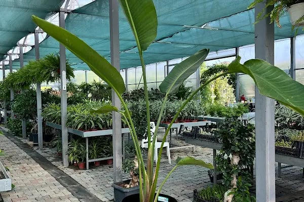 Bambu Bahçe Market - Resim 5