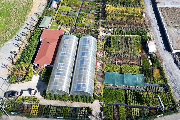 Bambu Bahçe Market - Resim 4