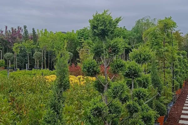 Bambu Bahçe Market - Resim 17