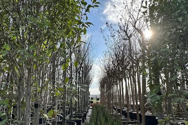 Bambu Bahçe Market - Resim 11