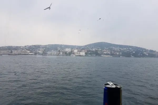 Yapı Kredi Bankası ATM - Büyükada Şubesi 1 - Resim 3