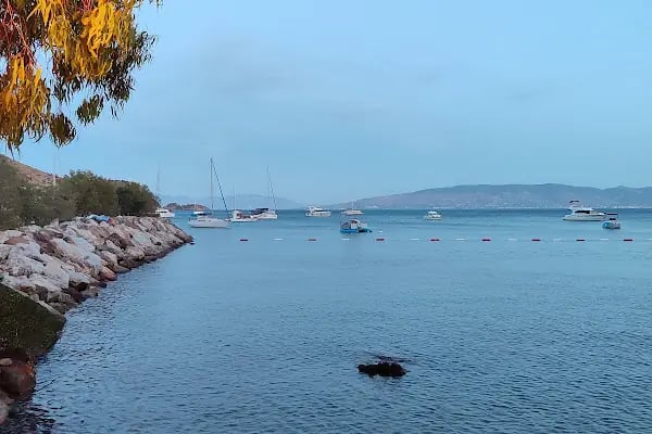 EGE Cafe &amp; Pub - Resim 7