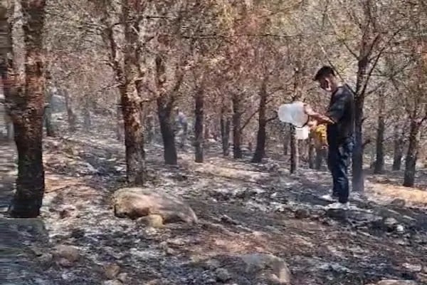 İzmir İtfaiyesi Merkez Hizmet Binası (T.C. İzmir Büyükşehir Belediyesi İtfaiye Dairesi Başkanlığı) - Resim 19