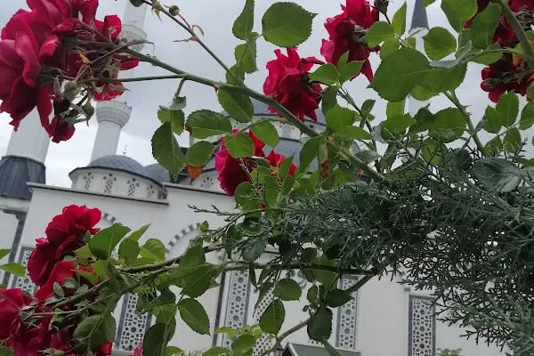 Seyyid Burhaneddin Camii - Resim 20