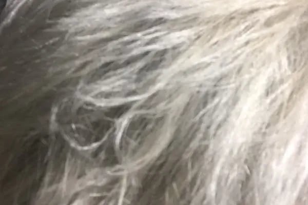 Vega Kuaför Bodrum Hair Design Luxury Unisex - Resim 8