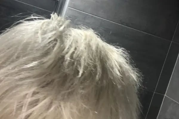 Vega Kuaför Bodrum Hair Design Luxury Unisex - Resim 7