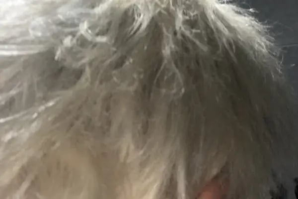 Vega Kuaför Bodrum Hair Design Luxury Unisex - Resim 5