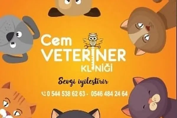 CEM VETERİNER KLİNİĞİ - Resim 7