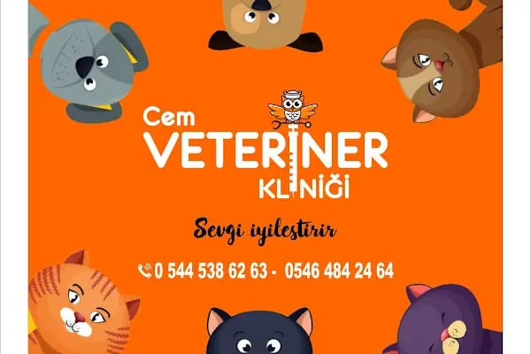 CEM VETERİNER KLİNİĞİ - Resim 8