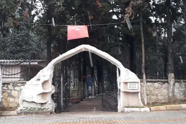Şenlikköy Mezarlığı - Resim 7
