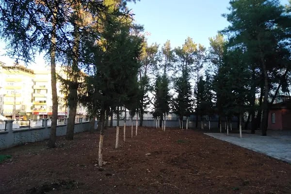Elbim - Almanca Aile Birleşimi Kursu Gaziantep - Almanca A1 Kursu &amp; İngilizce Aile Birleşimi Kursu - A1 Vize Sınav Merkezi - Resim 4