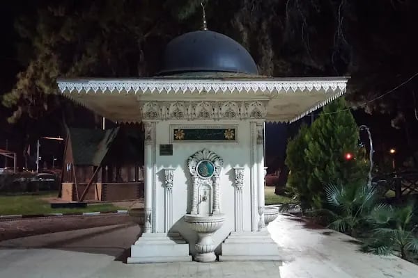 Düzler çamı - Resim 4