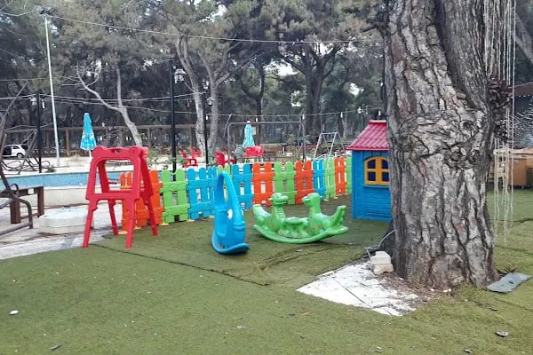 Düzler çamı - Resim 18