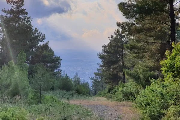 Çiftmazı Tabiat Parkı - Resim 12