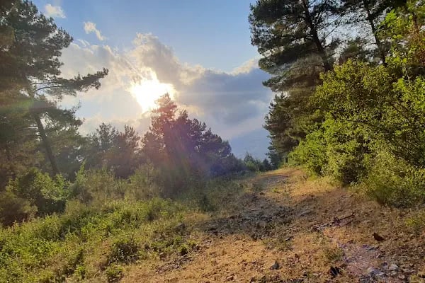 Çiftmazı Tabiat Parkı - Resim 11