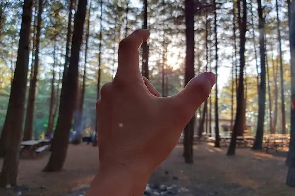 Çiftmazı Tabiat Parkı - Resim 15