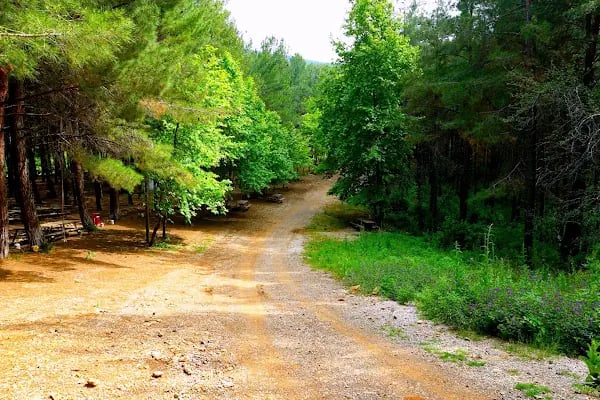 Çiftmazı Tabiat Parkı - Resim 19