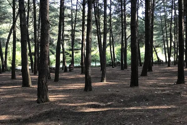 Çiftmazı Tabiat Parkı - Resim 3