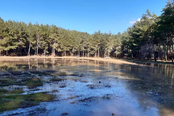 Çiftmazı Tabiat Parkı - Resim 6
