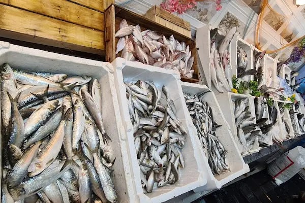 Yi Geç Balık Restaurant - Resim 15