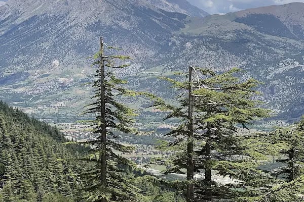 Kaanfil Dağı Milli Parkı - Resim 12