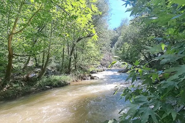 Kaanfil Dağı Milli Parkı - Resim 17