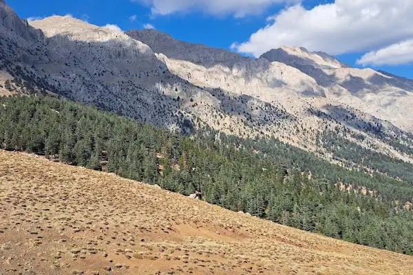 Kaanfil Dağı Milli Parkı - Resim 5