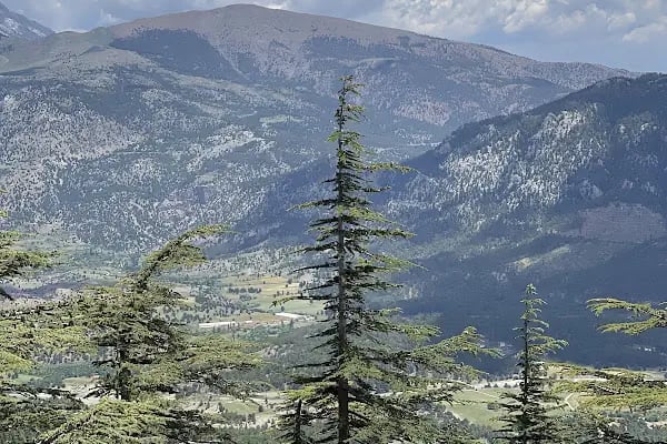 Kaanfil Dağı Milli Parkı - Resim 18