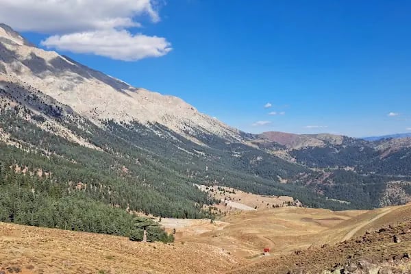 Kaanfil Dağı Milli Parkı - Resim 14