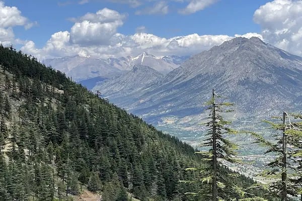 Kaanfil Dağı Milli Parkı - Resim 15