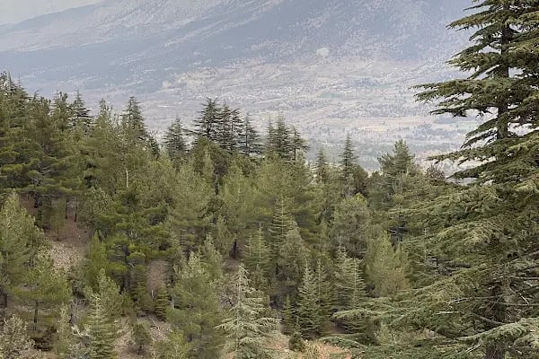 Kaanfil Dağı Milli Parkı - Resim 19