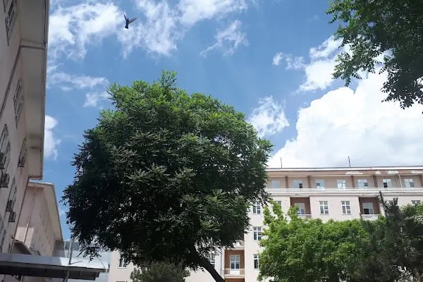 Ankara Eğitim ve Araştırma Hastanesi, Zekai Tahir Burak Ek Binası - Resim 20