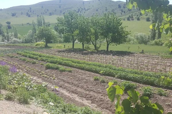 Akıncı - Resim 17