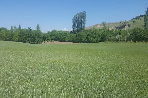 Akıncı - Resim 15
