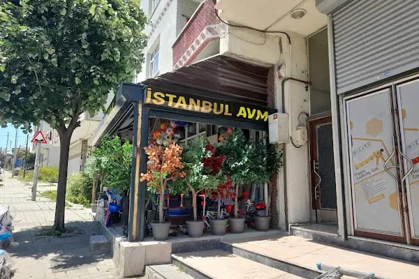 Istanbul A.V.M - Resim 3