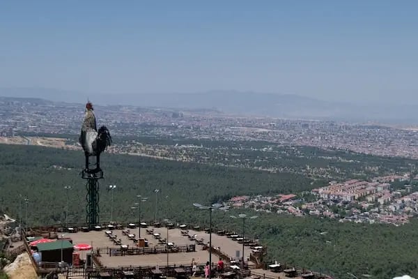 Çamlık Seyir Terası - Resim 11