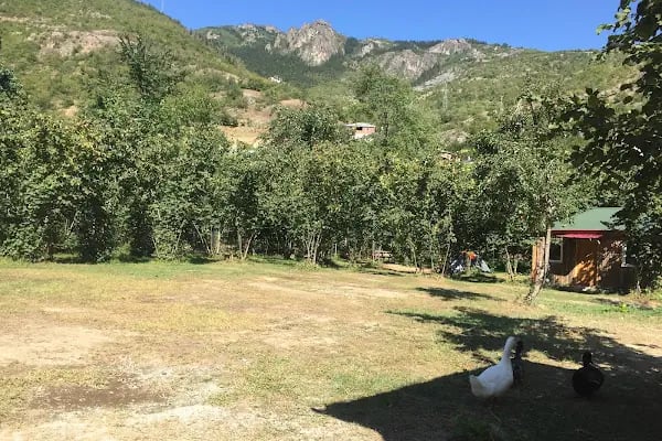 Maçka Camping - Resim 3