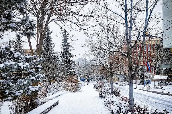Ankara Üniversitesi Cebeci Kampüsü - Resim 15