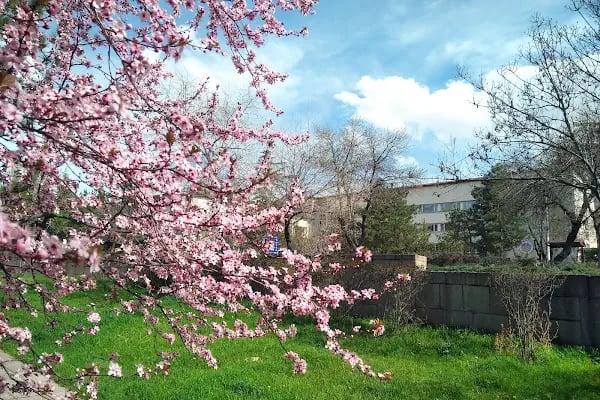 Ankara Üniversitesi Cebeci Kampüsü - Resim 6