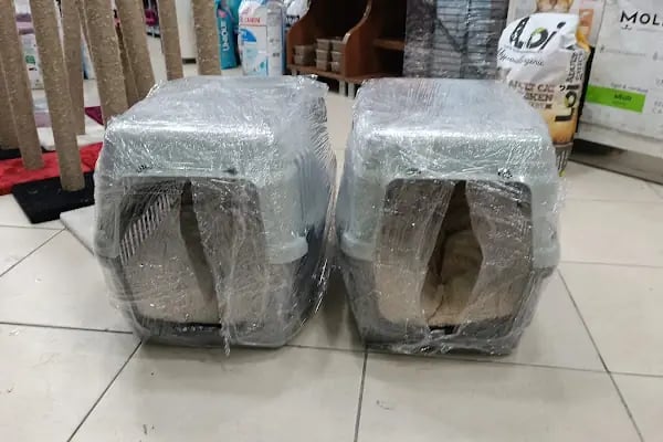 Bağcılar PET Shop Dünyası Kuş Kedi Köpek Maması Oyuncak - Resim 12