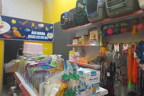 Bağcılar PET Shop Dünyası Kuş Kedi Köpek Maması Oyuncak - Resim 3