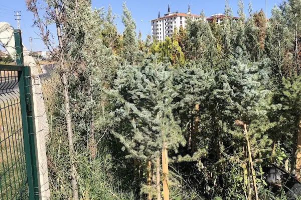 Akyurt Tarım Peyzaj - Resim 19