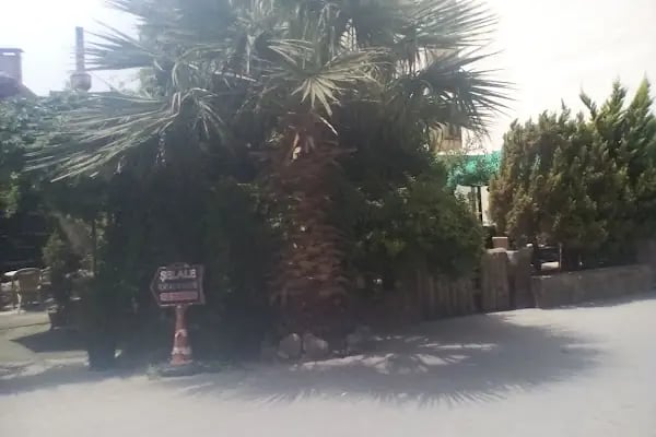 Şelale Cafe - Resim 9