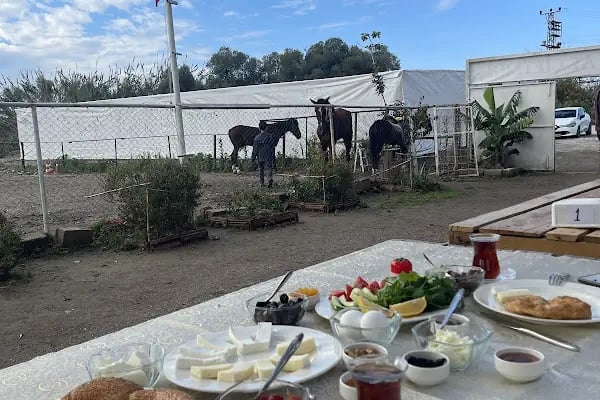 Ay Yıldız At Çiftliği - Resim 19