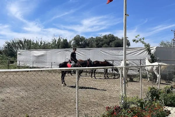 Ay Yıldız At Çiftliği - Resim 15