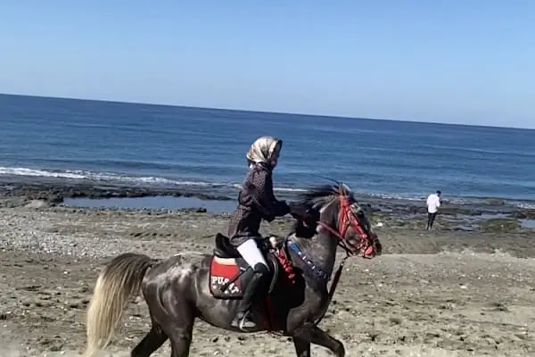 Ay Yıldız At Çiftliği - Resim 12