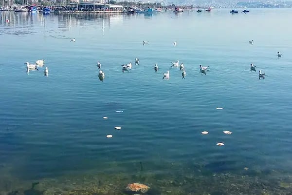 Atakent Bergama Evleri - Resim 10